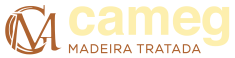 logo-cameg2-8